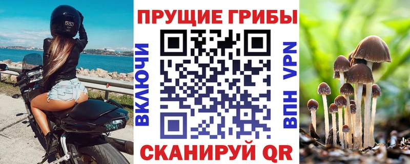 Галлюциногенные грибы GOLDEN TEACHER  где продают   Южно-Сахалинск 