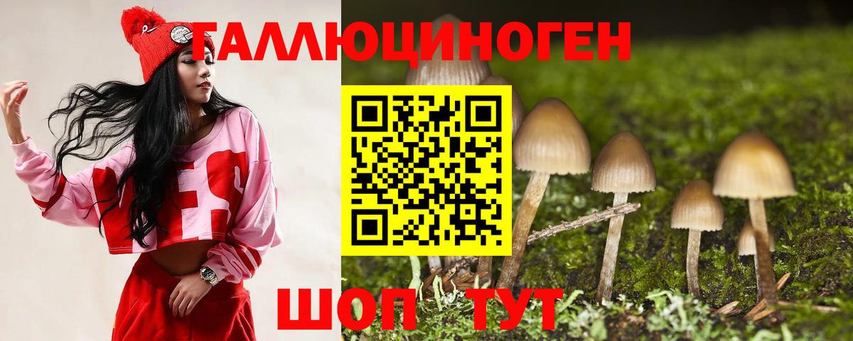 Псилоцибиновые грибы мицелий  Вход с VPN  Псилоцибиновые грибы мицелий  Южно-Сахалинск 